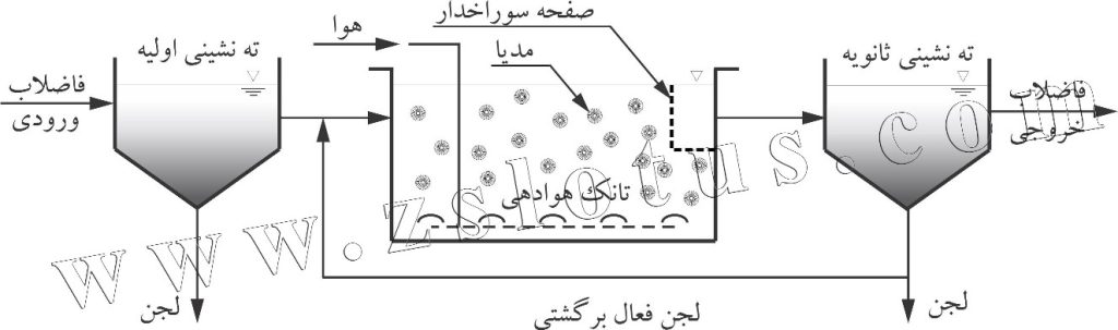 تصفیه فاضلاب بهداشتی